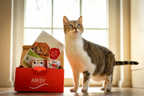 Schnupperpaket Anifitfür gesundes Katzenfutter